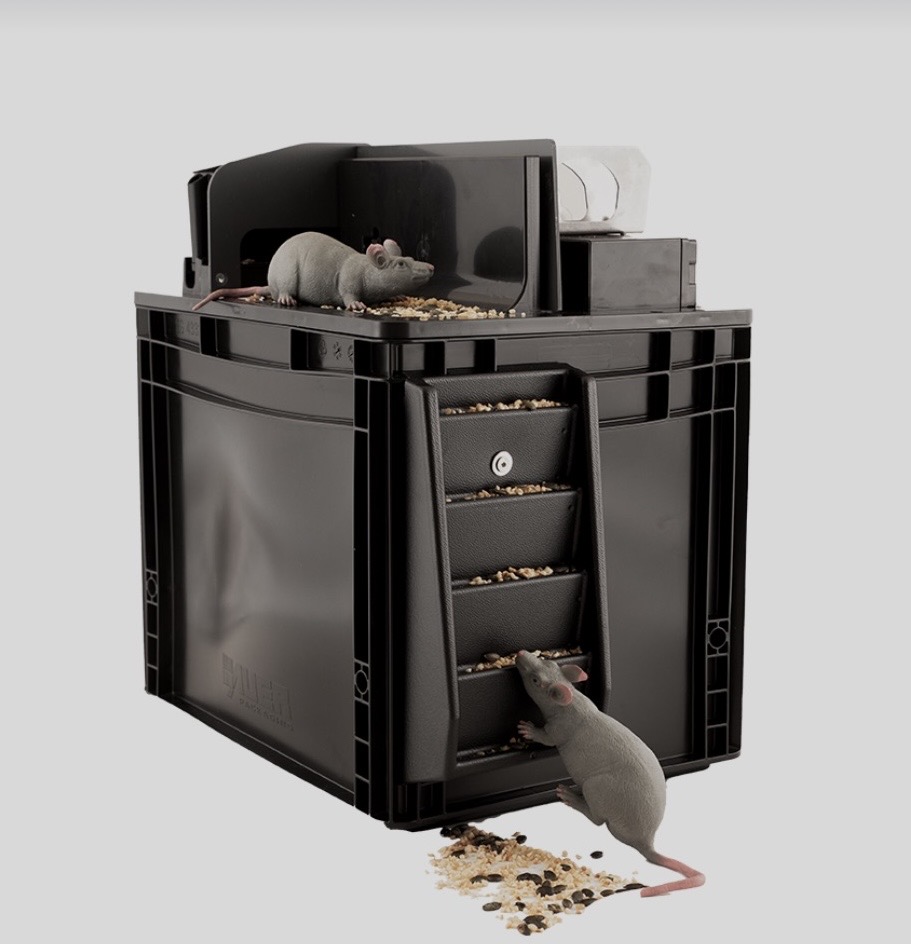 Ratten gifvrij bestrijden